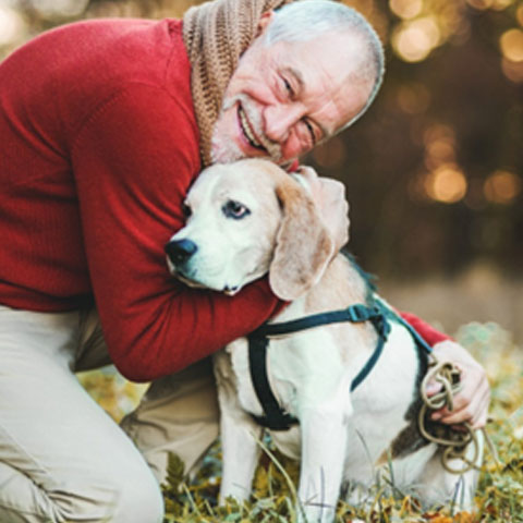/blogs/blog/dogs-and-seniors