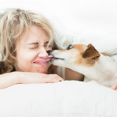 /blogs/blog/why-do-dogs-lick-you