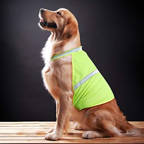 /blogs/blog/fur-bulous-and-safe-practicing-outdoor-safety-with-a-reflective-dog-vest