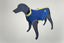 Zippy Dynamics’ “Breezy” Vest