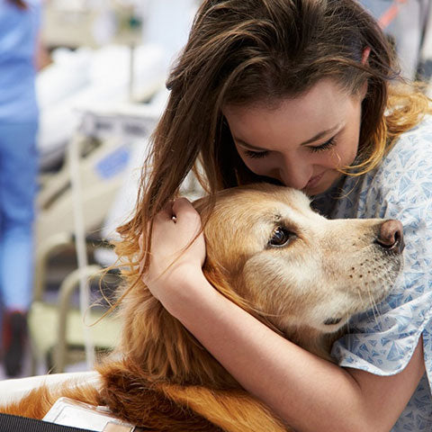 /blogs/blog/therapy-dogs