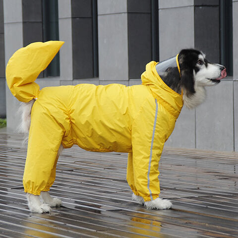 The Ultimate Guide to Choosing the Perfect Dog Rain Jacket – Zippy ...