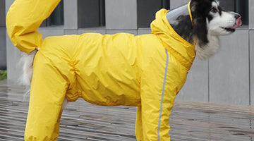 The Ultimate Guide to Choosing the Perfect Dog Rain Jacket
