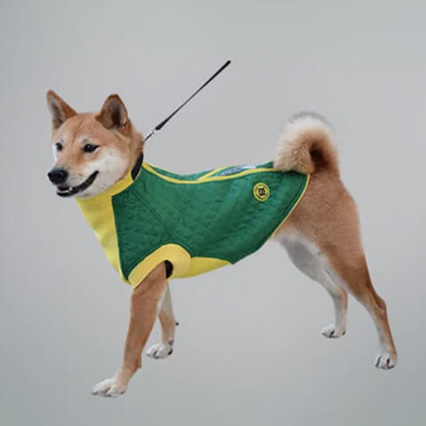 A Dog's Best Friend: Exploring the Benefits of Dog Vests for Your Furry Companion