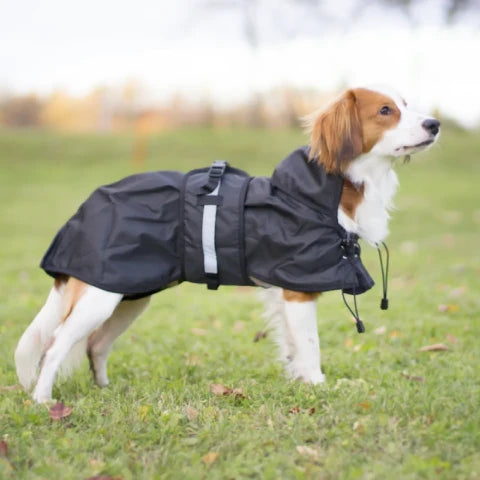 /blogs/blog/how-to-measure-your-dog-for-a-perfectly-fitting-full-body-raincoat