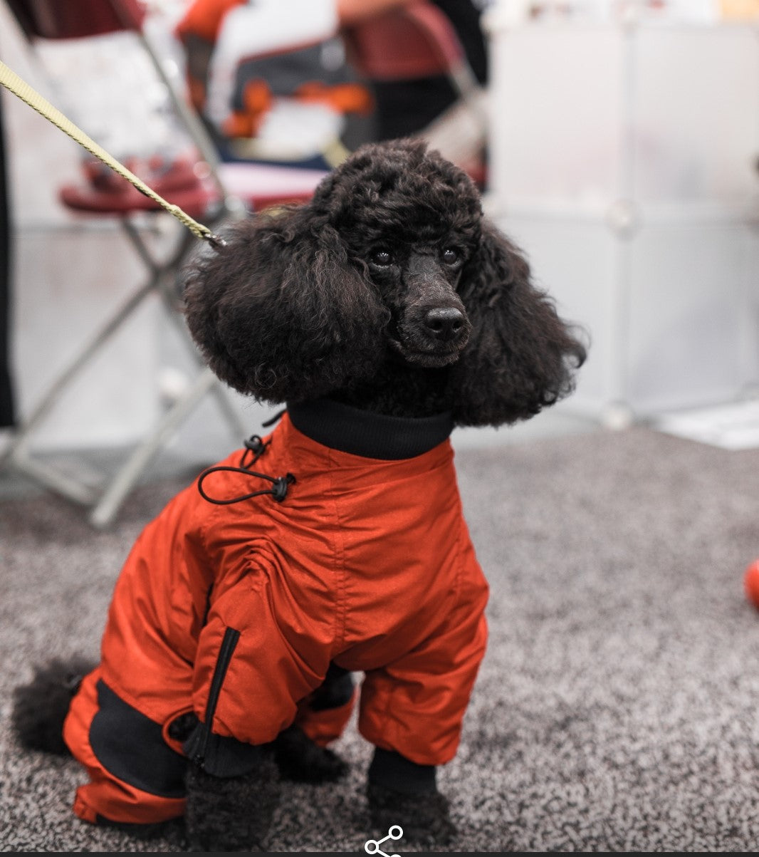 Global Pet Expo