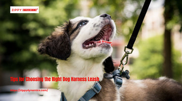 Tips for Choosing the Right Dog Harness Leash