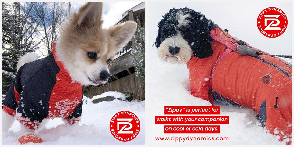 Are You Looking Clothes like Waterproof Winter Dog Coat with Dog Collar?