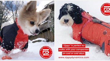 Are You Looking Clothes like Waterproof Winter Dog Coat with Dog Collar?