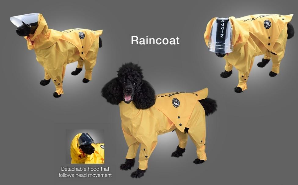 What Makes a Dog Suit Truly Waterproof? Fabric, Seams &amp; Real-World Testing