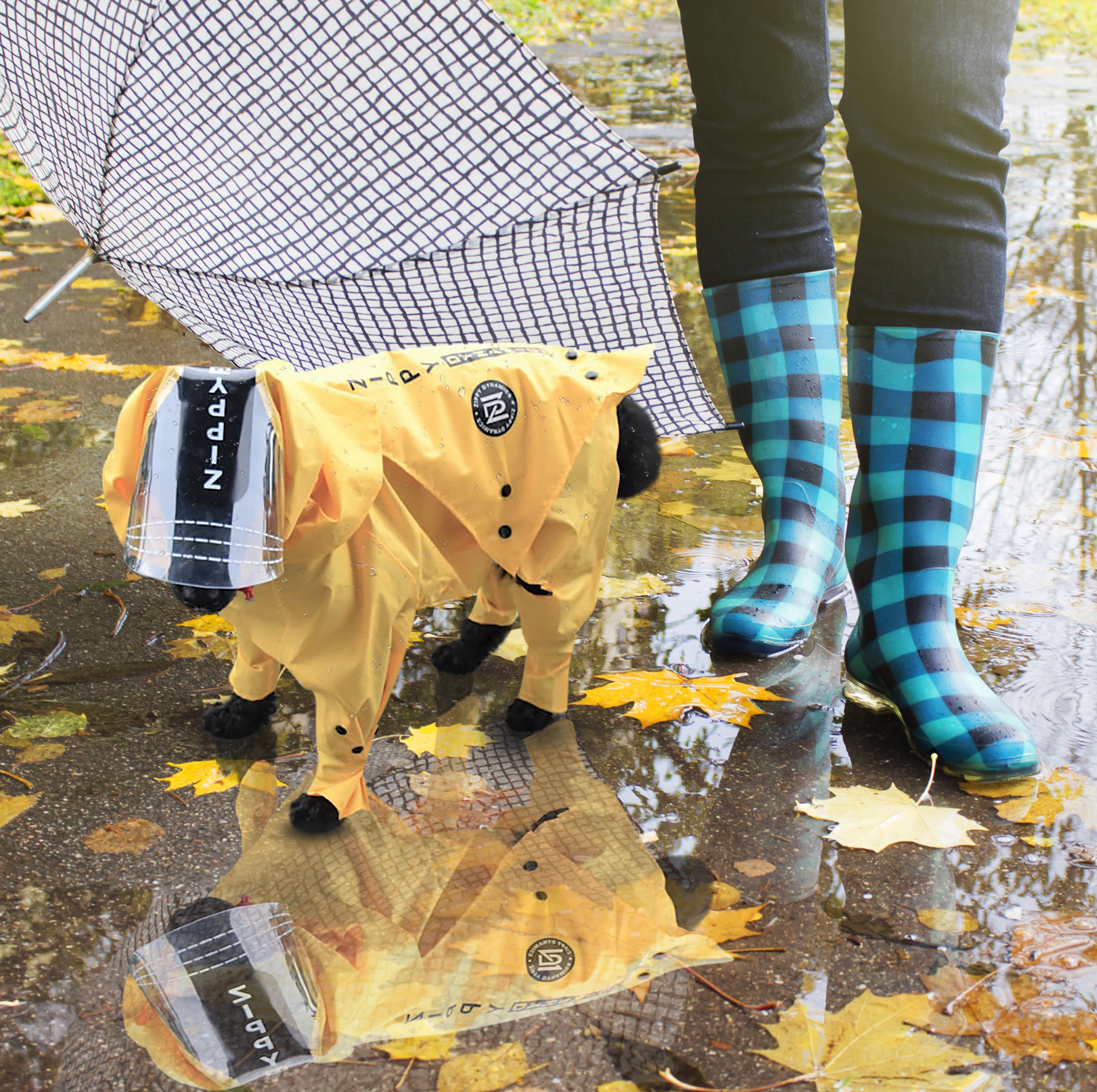 Crucial Factors to Consider When Buying Designer Dog Clothes