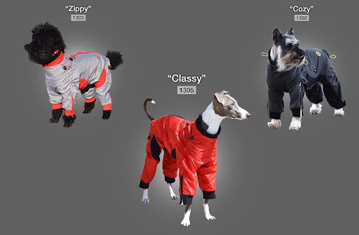 The Complete Guide to Dog Full-Body Suits: When You Need One and How They Work