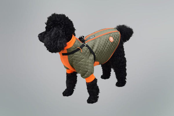 Dog Parkas