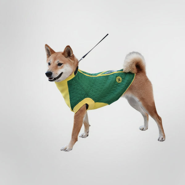 Dog Vests