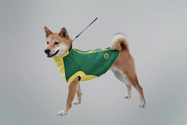 Dog Vests