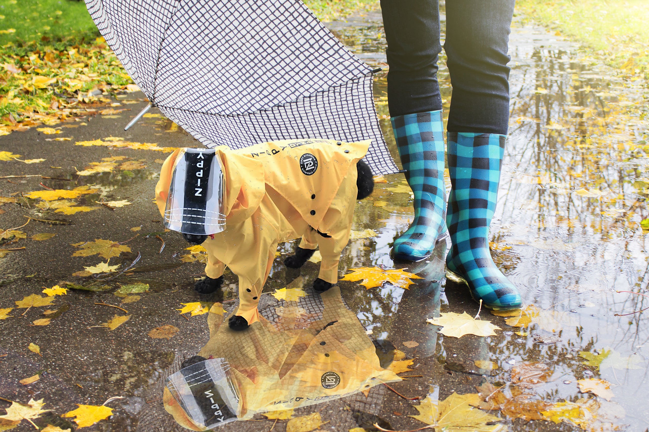 dog raincoat with hood