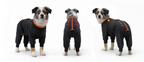 ZIPPYWRAP — Multi-Purpose Full Body Recovery Suit for Dogs. Designed for recovery and everyday life.