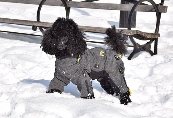 全長80cm！Sweety いぬ XXL サイズ Cozy Dog Body Suit – Zippy Dynamics Dog Apparel