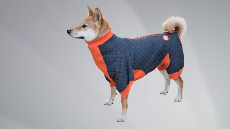 Zyppy Dynamics Coats for Dogs