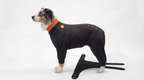 ZIPPYWRAP — Multi-Purpose Full Body Recovery Suit for Dogs. Designed for recovery and everyday life.