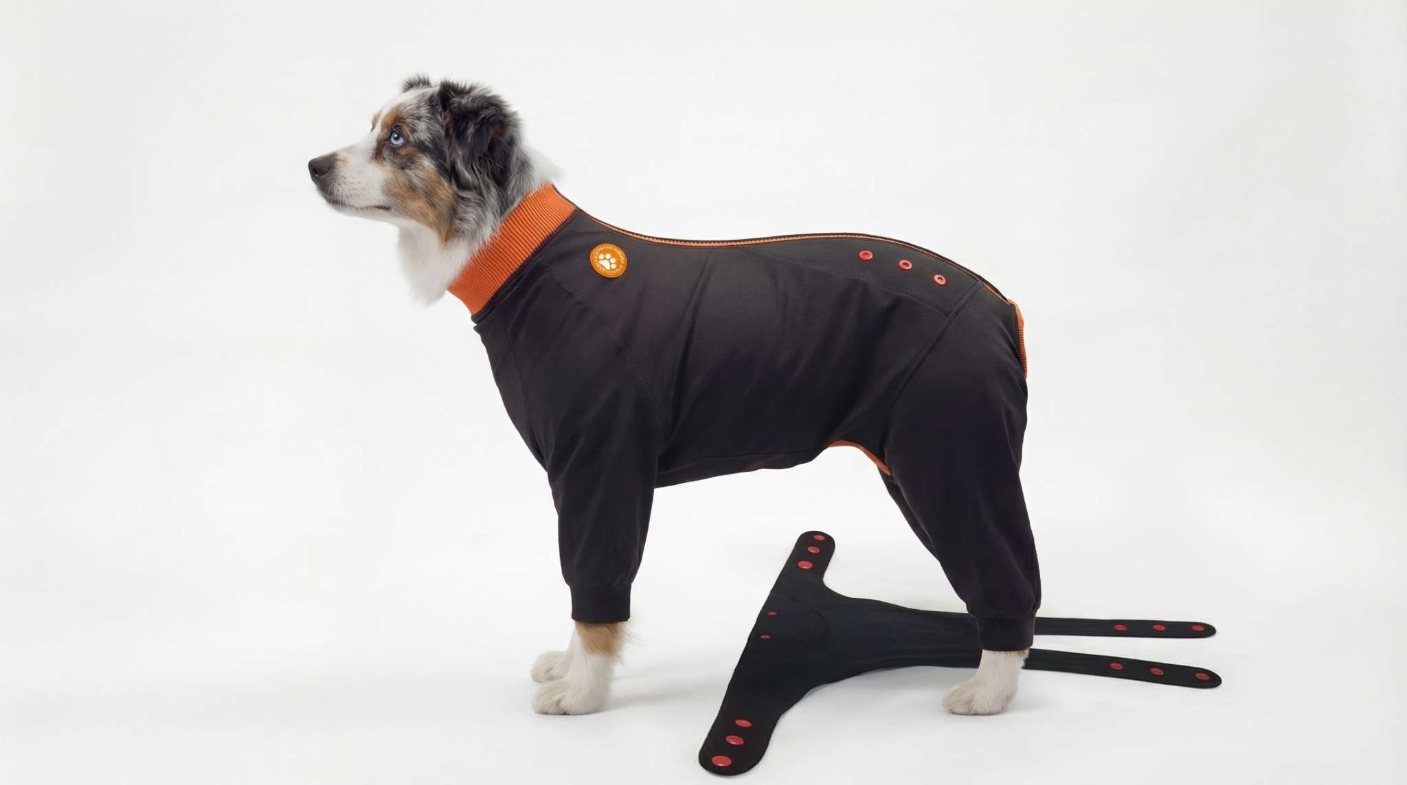 ZIPPYWRAP — Multi-Purpose Full Body Recovery Suit for Dogs. Designed for recovery and everyday life.