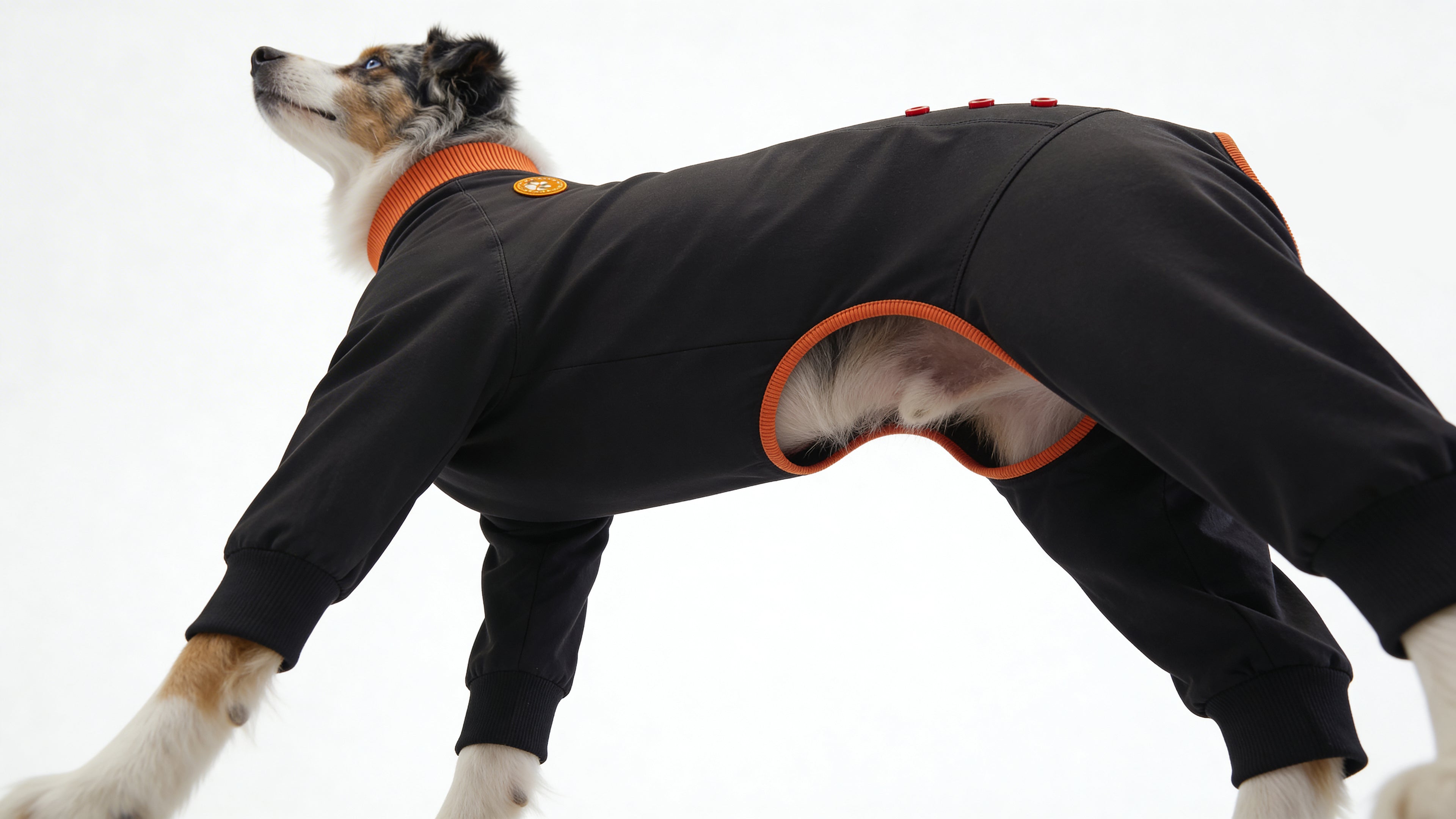 ZIPPYWRAP — Multi-Purpose Full Body Recovery Suit for Dogs. Designed for recovery and everyday life.