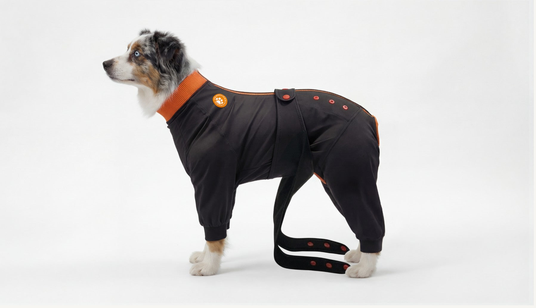 ZIPPYWRAP — Multi-Purpose Full Body Recovery Suit for Dogs. Designed for recovery and everyday life.