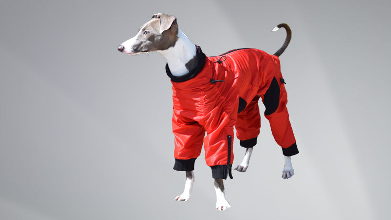 Full-Body Suits for dogs