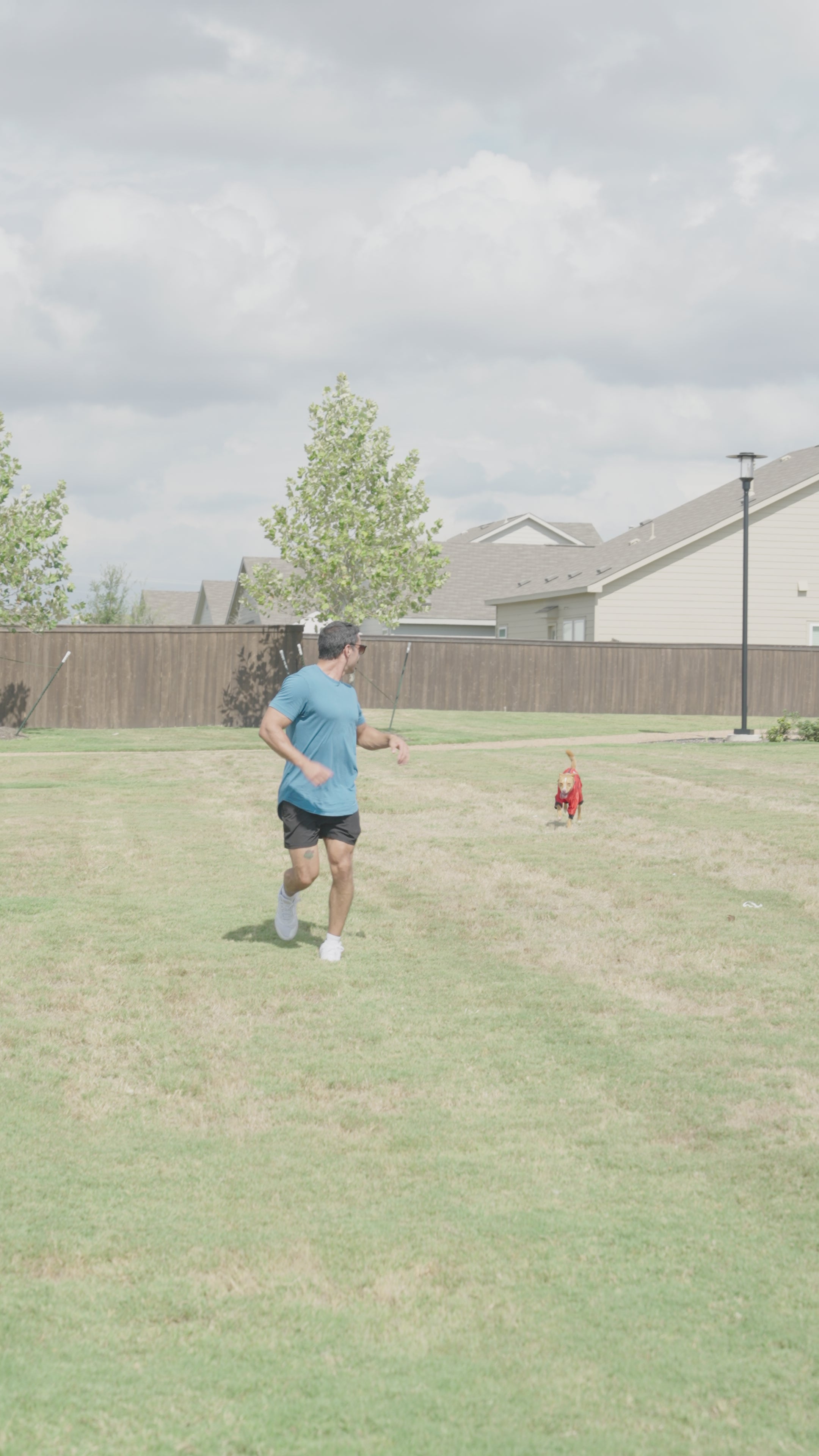 Video preview image