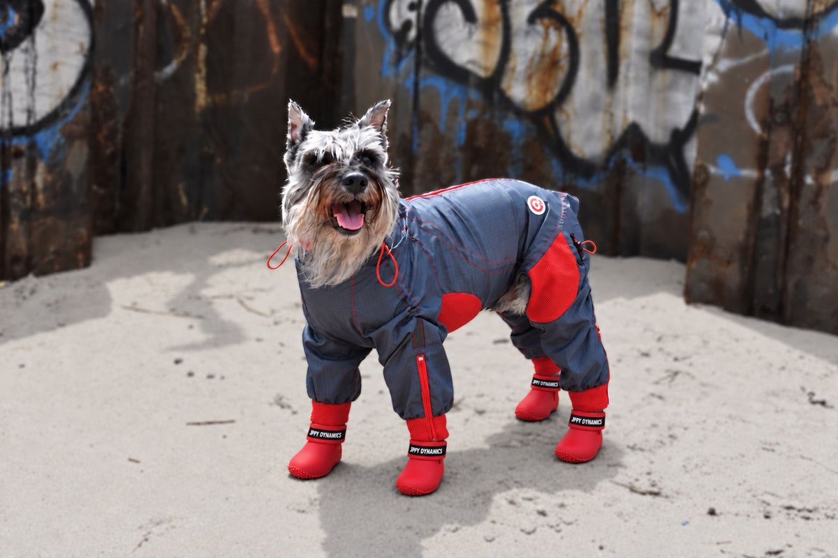 ZippyPaws™ All-Season Dog Boots by Zippy Dynamics Main image