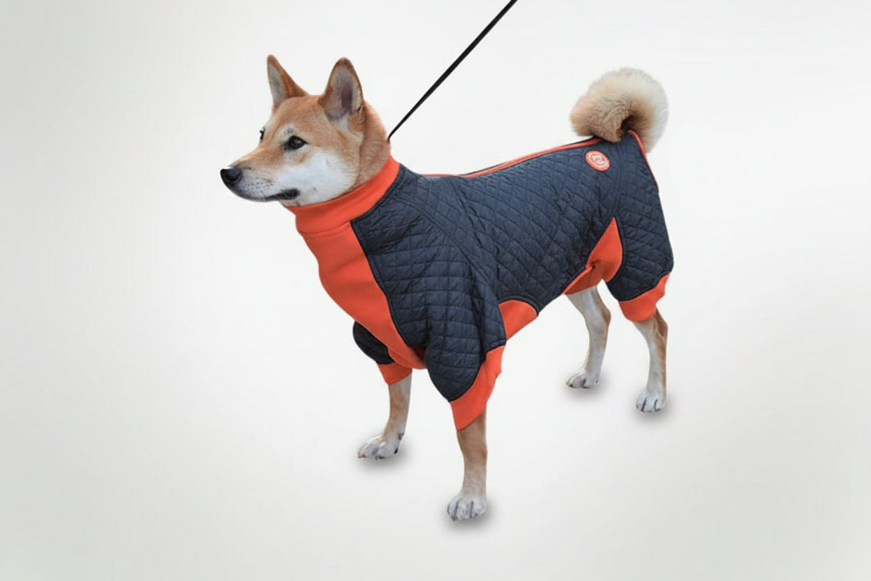 Zippy Dynamics’ “Springy” Coat