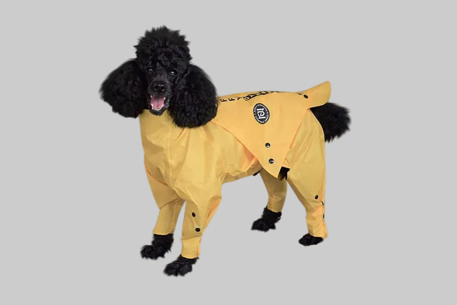 Zippy Dynamics’ “Rainy” Raincoat