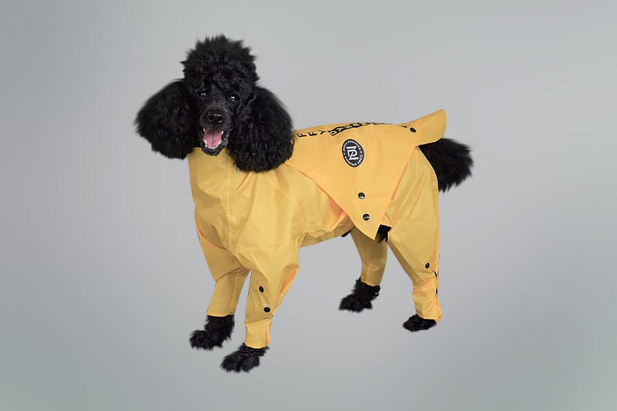 Yellow Dog Raincoat - Best Rainy Full Body Raincoat – Zippy Dynamics Dog  Apparel