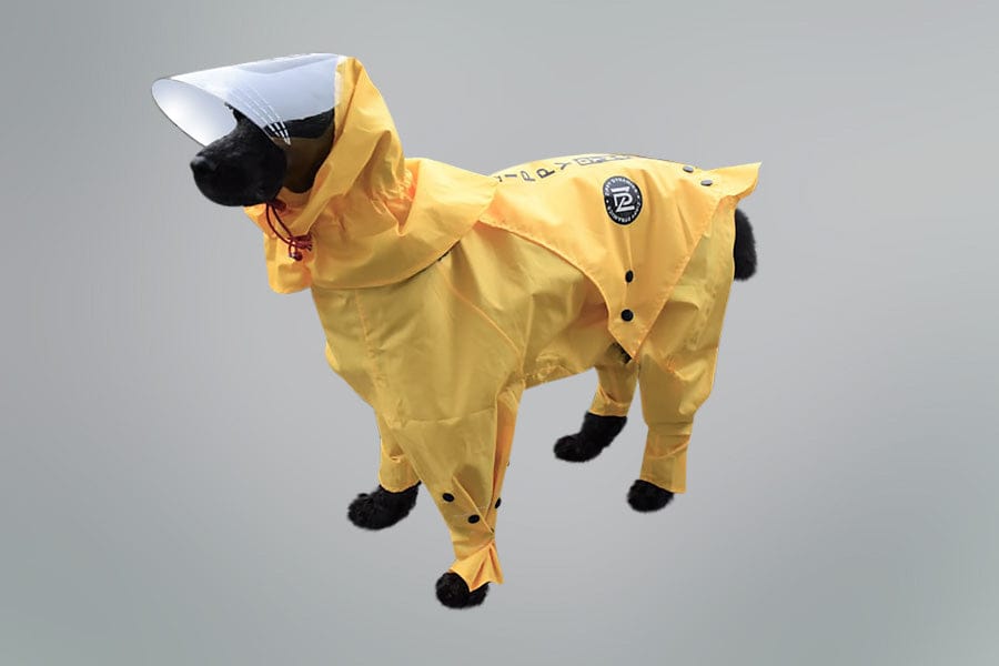 Zippy Dynamics’ “Rainy” Raincoat