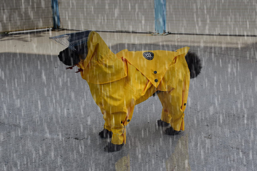 Zippy Dynamics’ “Rainy” Raincoat