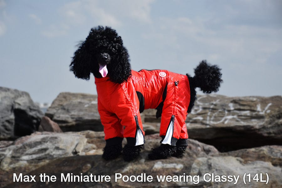Zippy Dynamics’ “Classy” Full-Body Suit