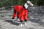 Zippy Dynamics’ “Classy” Full-Body Suit