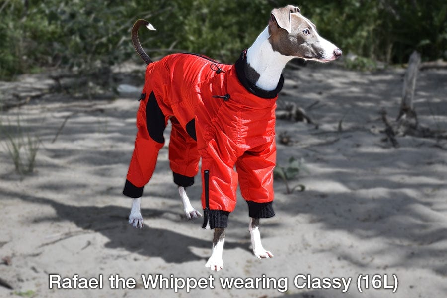 Zippy Dynamics’ “Classy” Full-Body Suit