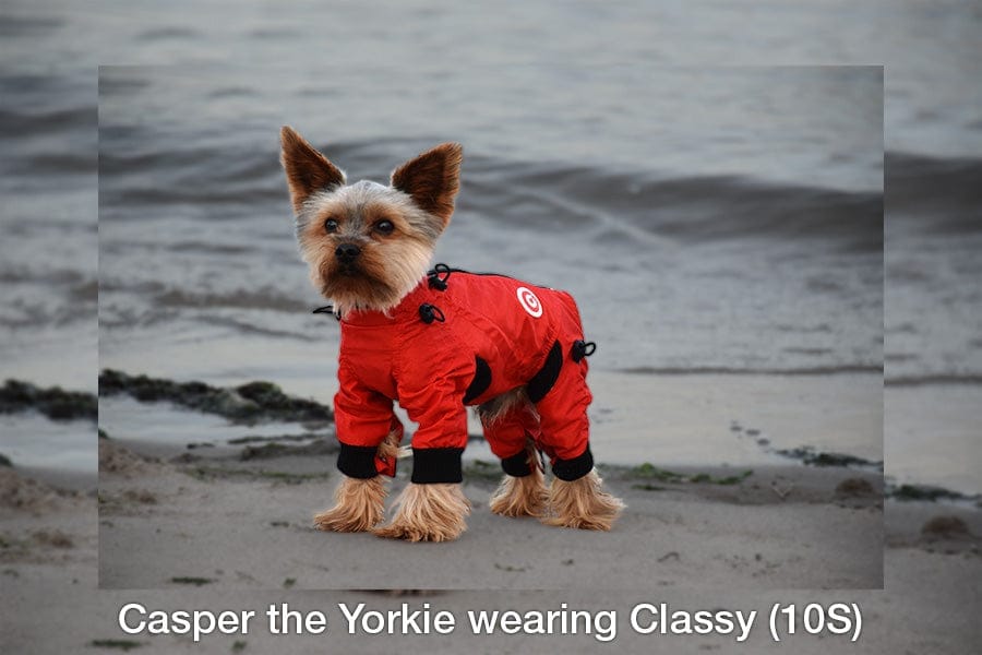 Zippy Dynamics’ “Classy” Full-Body Suit