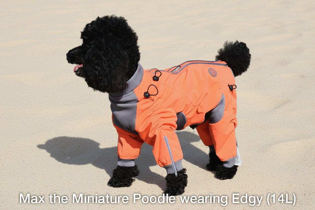 Zippy Dynamics’ “Edgy” Full-Body Suit