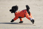 Zippy Dynamics’ “Edgy” Full-Body Suit