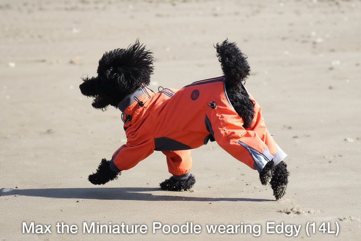 Zippy Dynamics’ “Edgy” Full-Body Suit