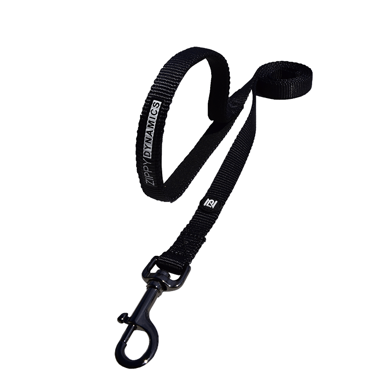 Zippy. Leashes
