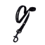 Zippy. Leashes