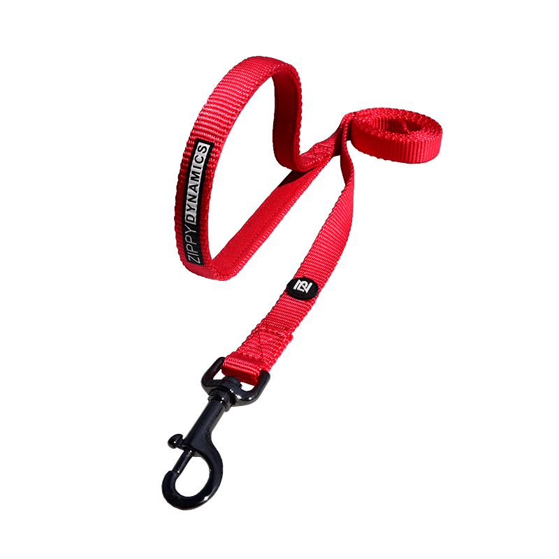 Zippy. Leashes Secondary image