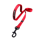 Zippy. Leashes