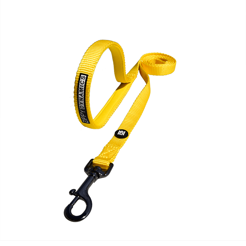 Zippy. Leashes