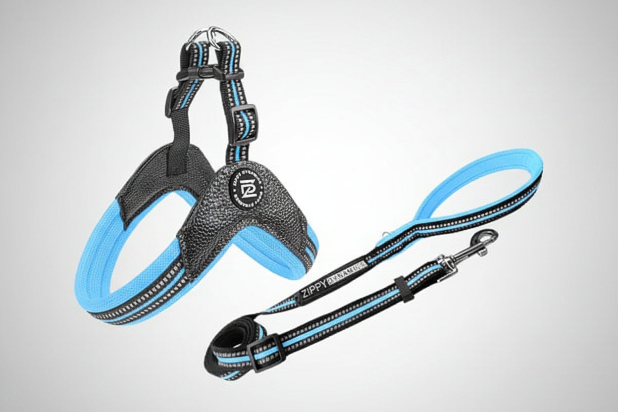 STRIDE. Step-In Harnesses and Leash Combo