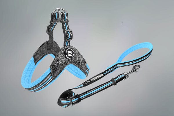 STRIDE. Step-In Harnesses and Leash Combo