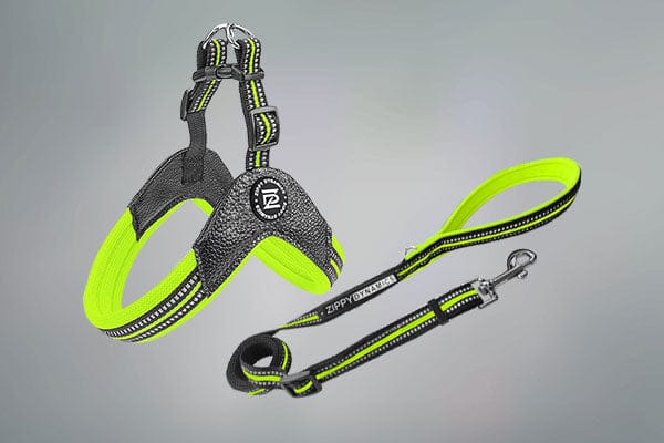 STRIDE. Step-In Harnesses and Leash Combo